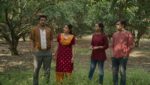 Panchayat (S3-2024) Series Featured Image