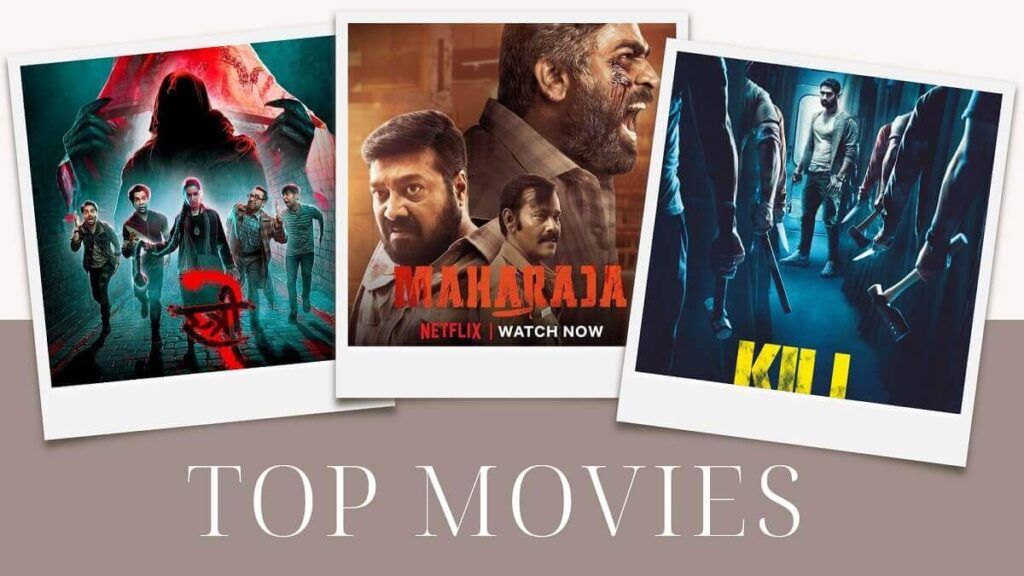 Top 10 Indian Movies of 2024